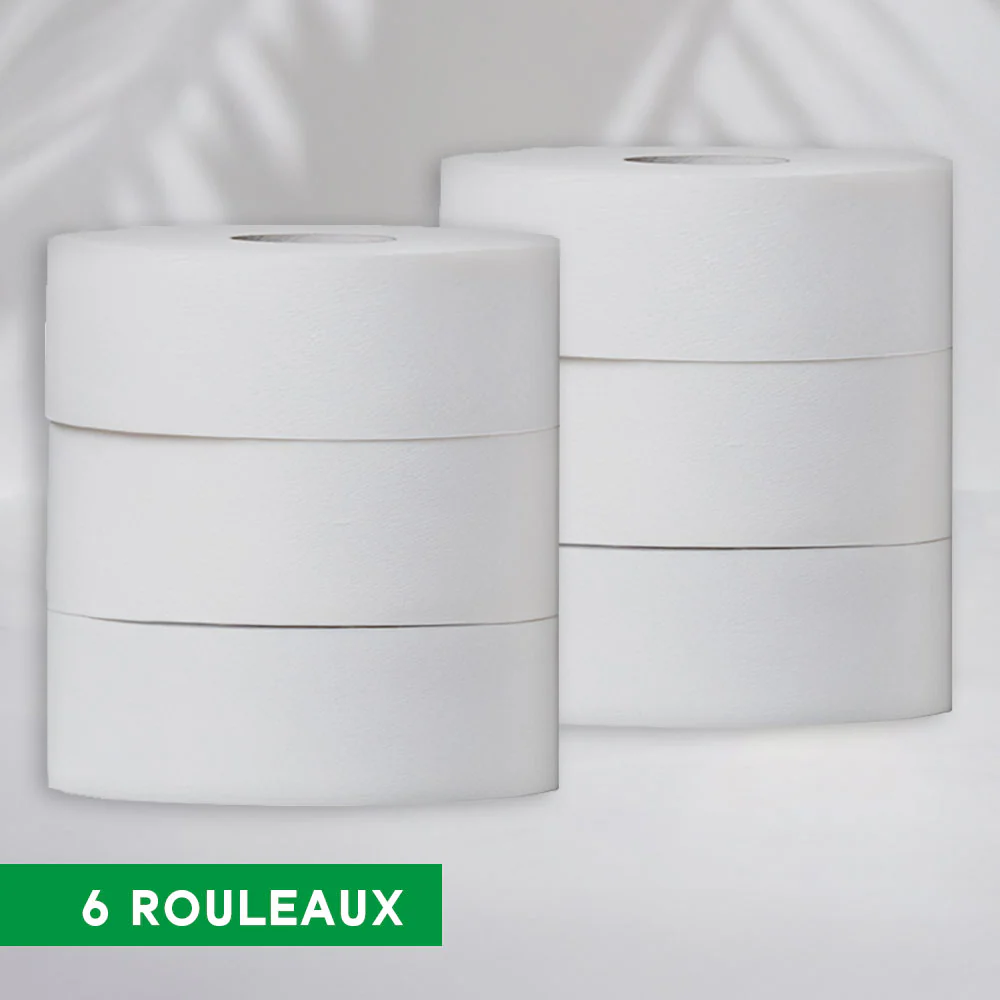 MAXI TITAN, papier hygiénique 320 m (colis de 6 rouleaux)
